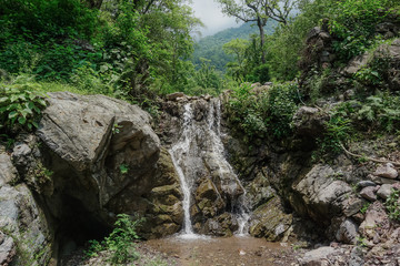Fototapeta na wymiar Small waterfall in the forest in Rishikesh, India