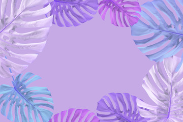 Fototapeta na wymiar Tropical palm leaves on neon, purple background. Isolated