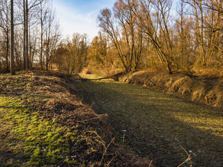 Naturschutzgebiet Aulandschaft an deer Donau