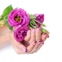 Hands of a woman with pink french manicure and flowers eustoma on a white background