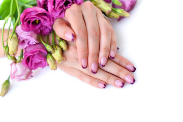 Hands of a woman with pink french manicure and flowers eustoma on a white background