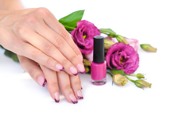Hands of a woman with pink french manicure and flowers eustoma on a white background