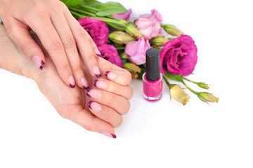 Hands of a woman with pink french manicure and flowers eustoma on a white background