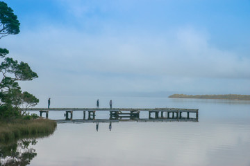 Obraz premium Pier