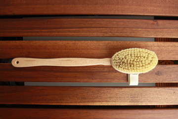 shower brush for the back