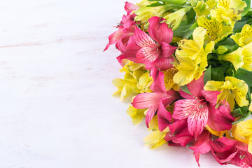 Yellow and pink Alstroemeria on the white wooden background