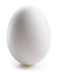 With egg isolated on white