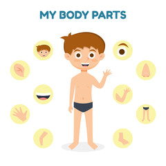 Vector illustration of a Kid Boy with Different Parts of the Body for Teaching. Vector illustration cartoon style.