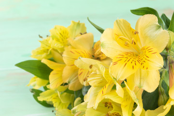 Yellow Alstroemeria on the green wooden background