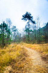 Obraz premium Mountain trail scenery 