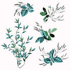 Fototapeta premium Set of floral bouquets, collection flower composition, greenery on white background.