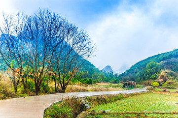 Mountain trail scenery 