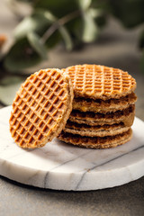 Mini stroopwafel, syrupwaffles cookies with cup of tea and eucalyptus twigs on light background