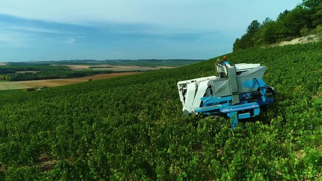 Vendanges m&eacute;caniques dans les vignes