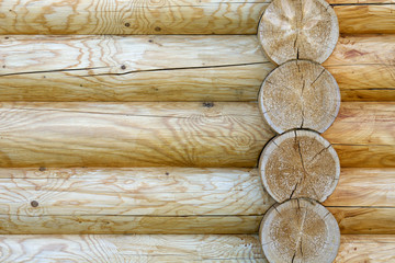 texture of large pine logs yellow color close up