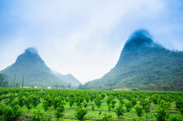 Fototapeta premium Mountain in the mist scenery