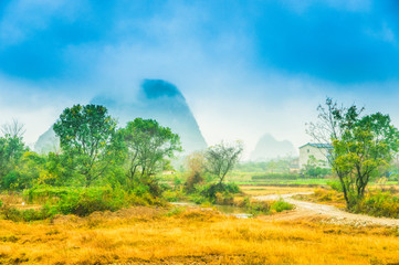 Mountain in the mist scenery