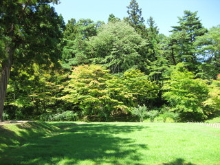 Obraz premium 公園