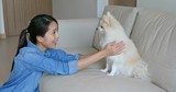 Woman cuddle her Pomeranian dog at home
