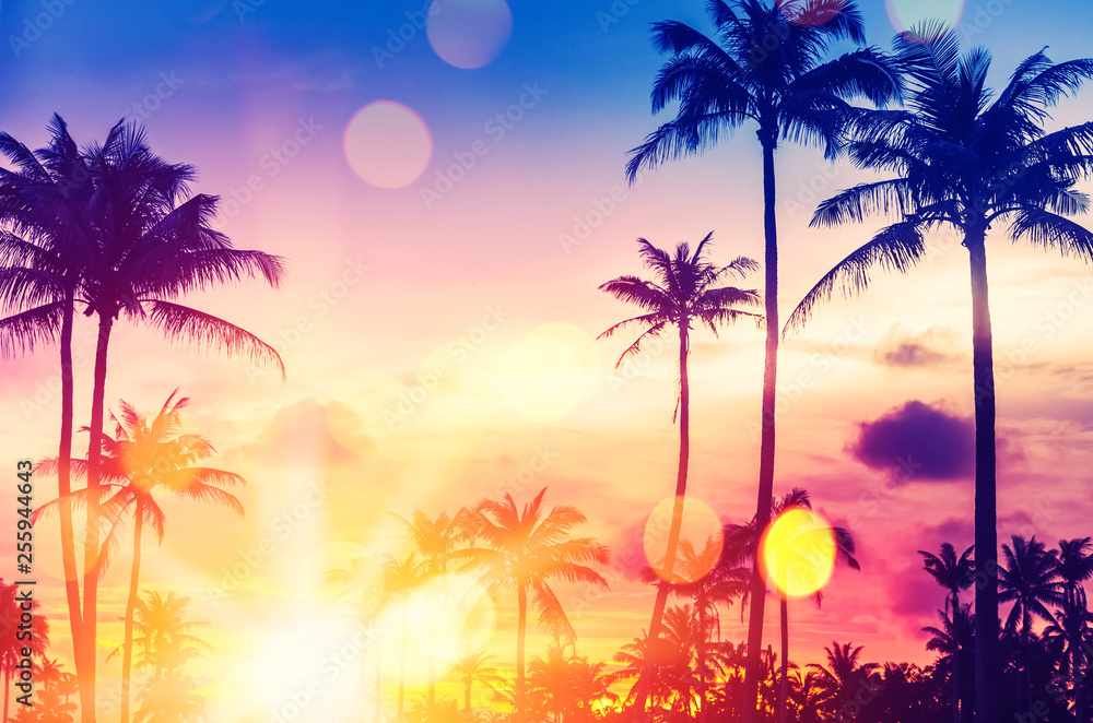 Wall mural tropical palm tree with colorful bokeh sun light on sunset sky cloud abstract background.