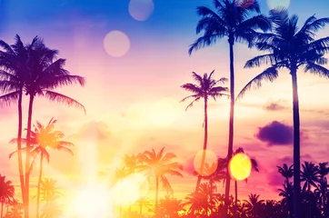 Crédence de cuisine en verre imprimé Coucher de soleil sur la plage Palmier tropical avec lumière du soleil bokeh coloré sur fond abstrait nuage ciel coucher de soleil.