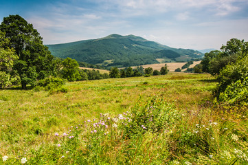 Polana z widokiem na wzgórze