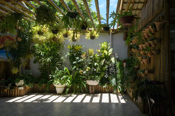 Fototapeta na wymiar An internal garden with beautiful green plants and a really nice soft light coming from above