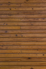  Timber hardwood wall. Natural patterns for design. (selective focus)