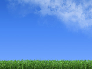 Fototapeta na wymiar Grass Meadow and a blue Sky with Clouds