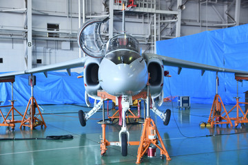 　格納庫のT-4練習機