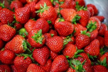 たくさんのいちご