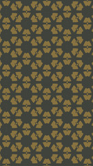 Ornate geometric pattern and two-tone abstract background