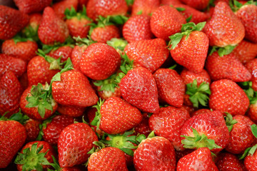 たくさんのいちご