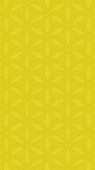 Ornate geometric pattern and two-tone abstract background