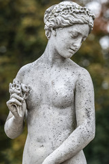 Statue of sensual naked Greek renaissance era woman with flowers, Potsdam, Germany, details, closeup