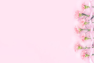 Beautiful elegance blooming baby pink color tender carnations in row isolated on bright pink background, mothers day greeting design concept,top view,flat lay,close up,copy space