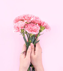 Woman giving bunch of elegance blooming baby pink color tender carnations isolated on bright pink background, mothers day decor design concept, top view, close up, copy space