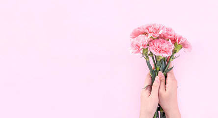 Woman giving bunch of elegance blooming baby pink color tender carnations isolated on bright pink background, mothers day decor design concept, top view, close up, copy space