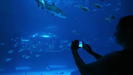 Woman taking picture of fish in water in 4k slow motion 60fps