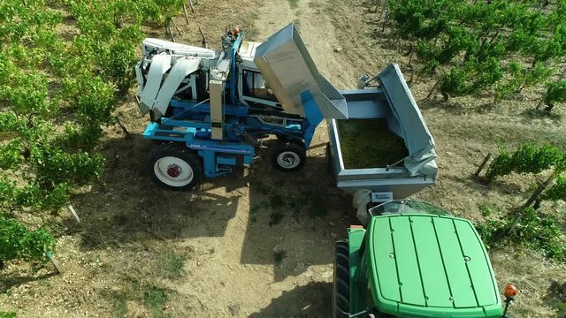 Vendanges m&eacute;caniques dans les vignes
