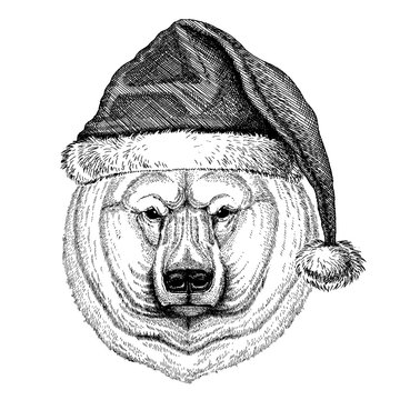 Big polar bear, White bear wearing christmas Santa Claus hat. Hand drawn image for tattoo, emblem, badge, logo, patch