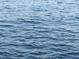 Fototapeta premium blue water wave texture