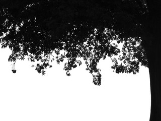 silhouette leaf tree