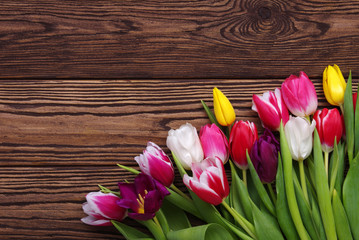 tulips on wood background