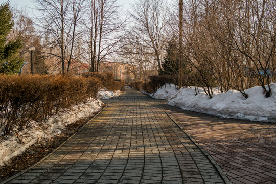 Footpath in park with leafless trees and melting snow. Spring park landscape. Zhastar Park. Ust-Kamenogorsk (Kazakhstan) - Powered by Adobe