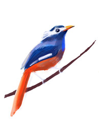 Obraz premium bird. colorful beautiful bird, bright illustration for children