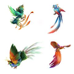 Fantasy and Realistic Bird. Animal Character Design. Concept Art. Realistic Illustration. Video Game Digital CG Artwork.