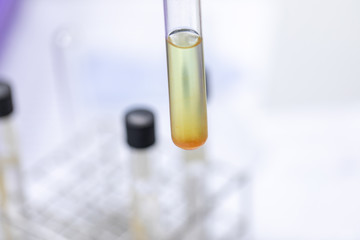 Study of Chromatography is used to separate components of a plant. 