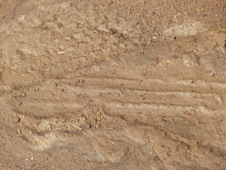 wet soil on the ground