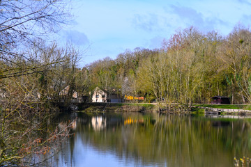 Fototapeta premium Les bords du lac